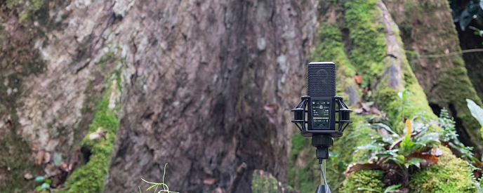 USB-микрофон Lewitt DGT650 - рис.9