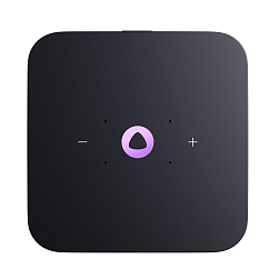 Умная колонка Яндекс Станция Миди Pink с Zigbee