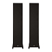 Напольная акустика Davis Acoustics Krypton N 10 Technik Black - рис.1