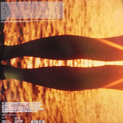 Пластинка Fatboy Slim - Halfway Between The Gutter And The Stars - LP