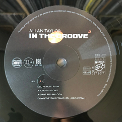 Пластинка Allan Taylor – In The Groove 2 LP