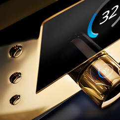 Интегральный усилитель MBL N51 Integrated Amplifier Piano Black Gold