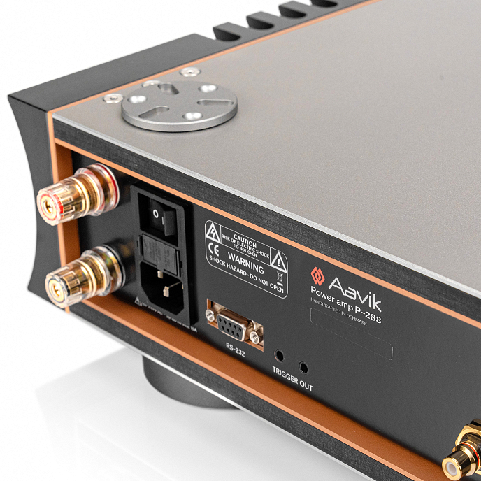 Усилитель мощности Aavik P-288 Black Silver - рис.3