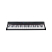 - рис.0 Синтезатор Alesis RECITAL 61 - рис.0