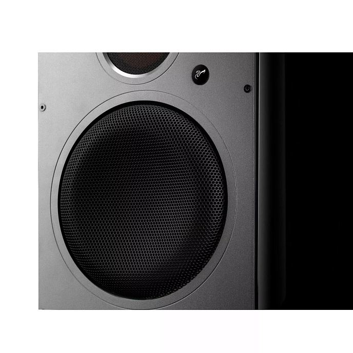 Полочная акустика Swan H8 Black - рис.4