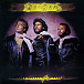 Виниловая пластинка Bee Gees - Children Of The World LP - рис.0
