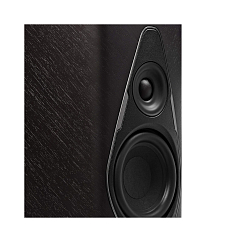 Беспроводная акустика Sonus Faber Duetto Graphite