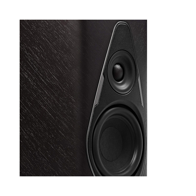 Беспроводная акустика Sonus Faber Duetto Graphite - рис.2