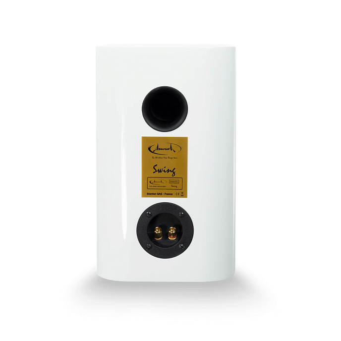 Полочная акустика Apertura Swing White High Gloss - рис.2