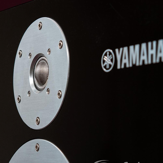 Полочная акустика Yamaha NS-5000 Right - рис.10