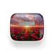 Беспроводные наушники Apple AirPods 3 Tulip Fields - рис.2 Беспроводные наушники Apple AirPods 3 Tulip Fields - рис.2