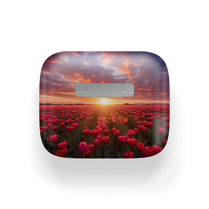 Беспроводные наушники Apple AirPods 3 Tulip Fields - рис.2