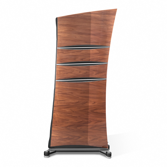 Напольная акустика Borresen T5 Silver Supreme Edition Walnut - рис.3