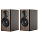- рис.1 Полочная акустика Dynaudio Focus 10 Walnut Wood - рис.1