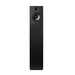 Напольная акустика Guru 28 Satin Black