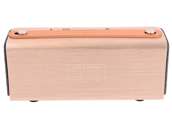 Портативная колонка GZ Electronics LoftSound GZ-44 Gold - рис.2