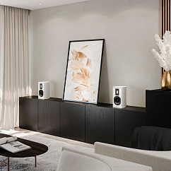 Полочная акустика Piega Premium 301 Wireless Black