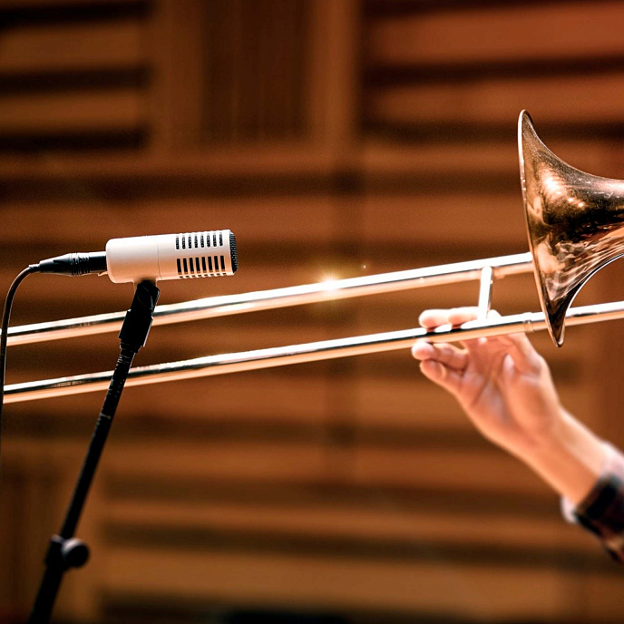 Микрофон инструментальный Universal Audio SD-7 White - рис.12