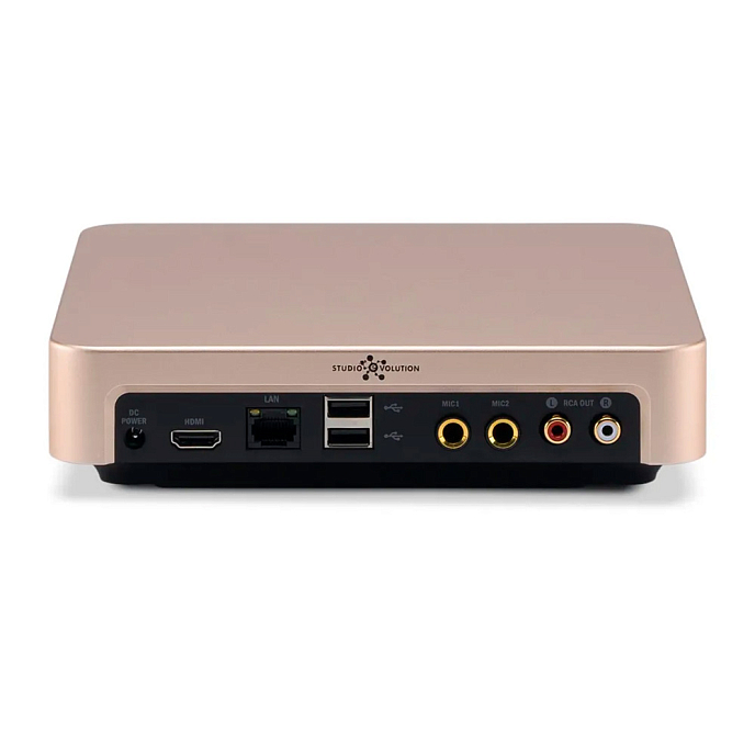 Караоке-система Studio Evolution EVOBOX Gold - рис.2