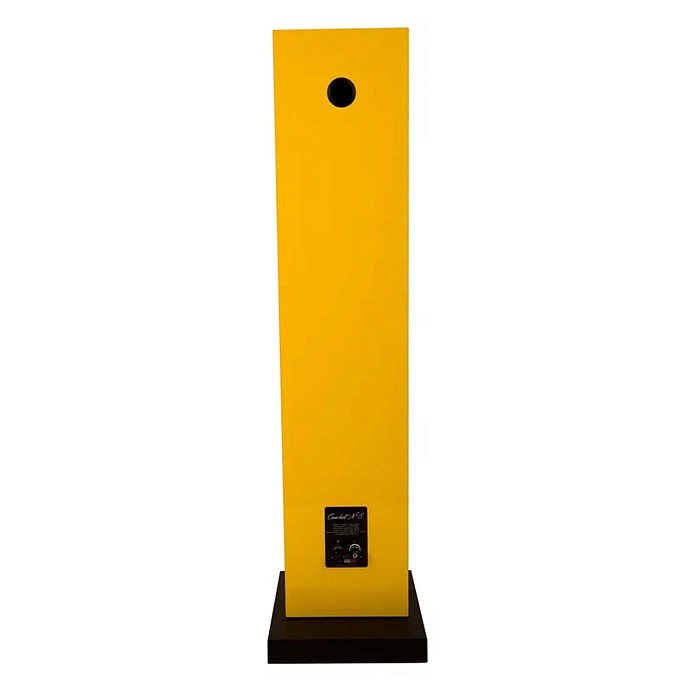 Напольная акустика Davis Acoustics Courbet N 8 Yellow - рис.5