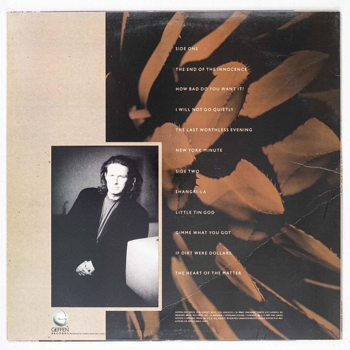 Виниловая пластинка Don Henley - The End Of The Innocence - 2LP - рис.2