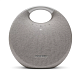 Портативная колонка Harman Kardon Onyx Studio 5 Gray - рис.1