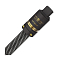 Wireworld Platinum Electra 10 Power Cord 3m