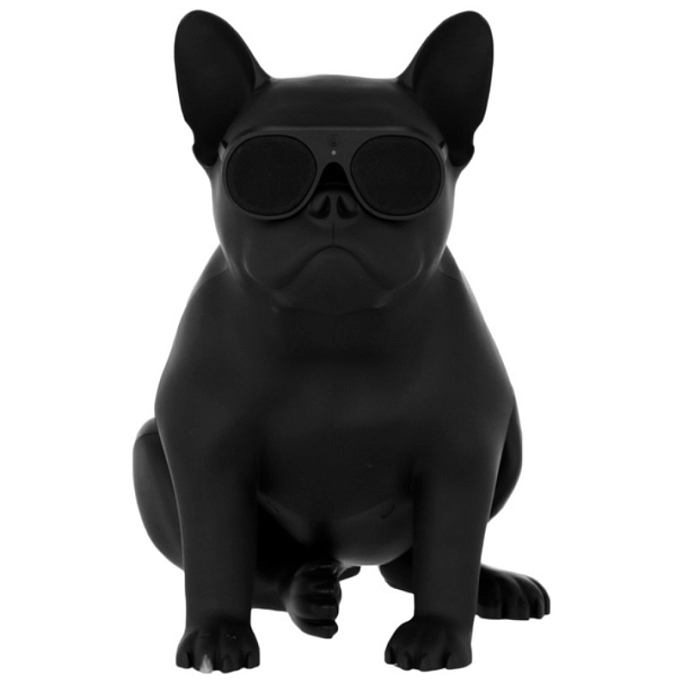 Портативная колонка AeroSystem Aerobull XS1 Matt Black - рис.0