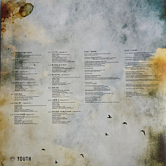 Виниловая пластинка BTS – Youth (Purple (Clear) - 2LP