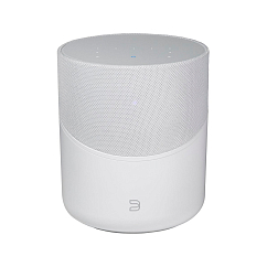 Беспроводная акустика Bluesound Pulse M White