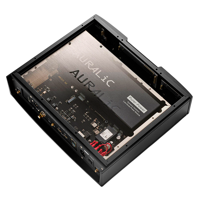 Сетевой аудиоплеер AURALiC ARIES G2.2 (4TB SSD) Black - рис.4