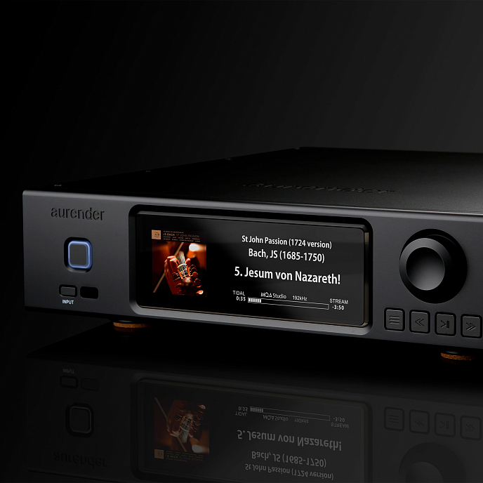 Сетевой аудиоплеер Aurender A200 2TB Black - рис.2