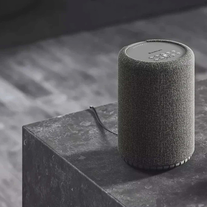 Портативная колонка Audio Pro A10 MKII W Dark Grey - рис.10