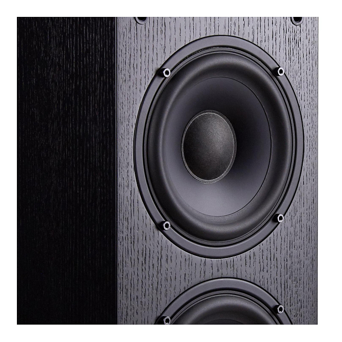 Напольная акустика Radiotehnika Vita 2.06 Black Ash - рис.8