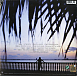 Виниловая пластинка Barry Gibb - In The Now - рис.1