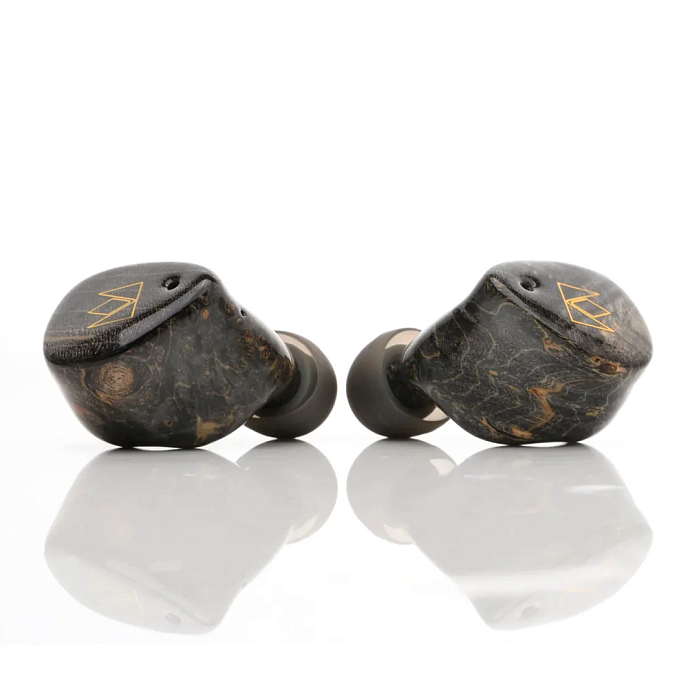 Беспроводные наушники Noble Audio FoKus Prestige Black - рис.3