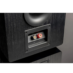 Напольная акустика SVS Prime Pinnacle Piano Black Ash