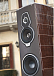 - рис.6 Напольная акустика Sonus Faber Serafino Tradition Wenge - рис.6