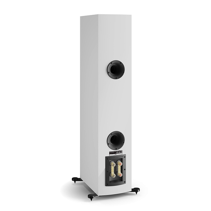 Напольная акустика Dali Rubikore 6 White High Gloss - рис.5