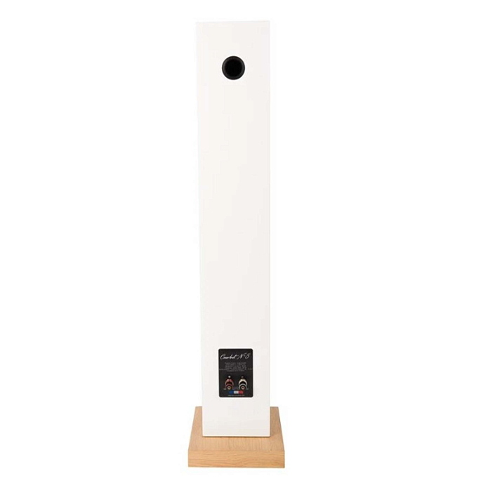Напольная акустика Davis Acoustics Courbet N 5 White Gloss - рис.5