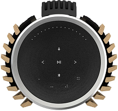 Напольная акустика Bang & Olufsen Beolab 28 with Gold Tone/Dark Oak