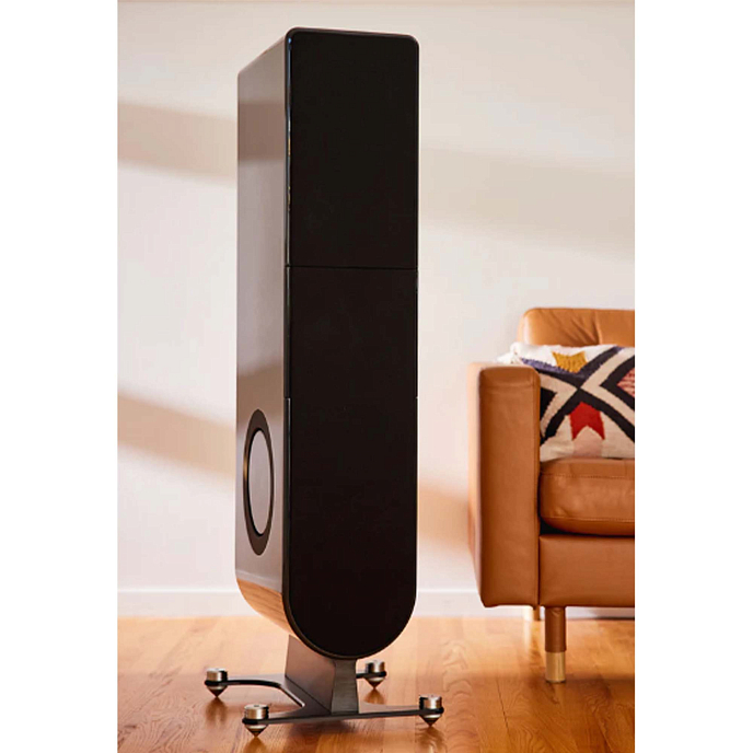 Напольная акустика PS Audio Aspen FR20 Sable Black - рис.3