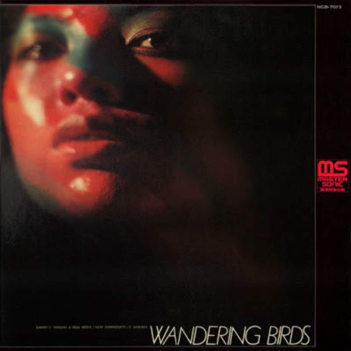 Виниловая пластинка Jiro Inagak - Soul Media – Wandering Birds LP - рис.1