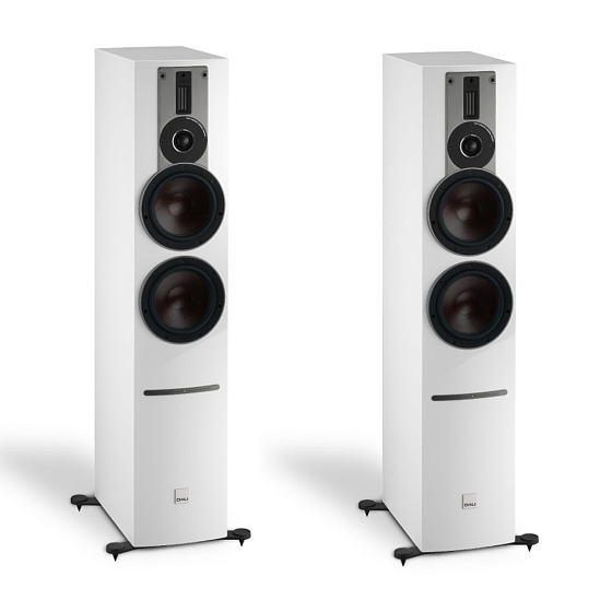 Напольная акустика Dali Rubicon 6 C, Sound Hub, BluOs White High Gloss - рис.0