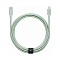 Native Union Belt USB-C - Lightning Light Green 3 m