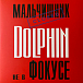 Виниловая пластинка Дельфин - Не в фокусе LP - рис.0