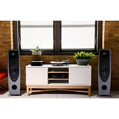 Проигрыватель винила Rega Naia + Aphelion 2