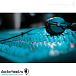 Наушники мониторные Sennheiser HD 25-13 II - рис.1