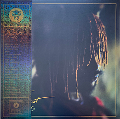 Виниловая пластинка Thundercat – It Is What It Is LP