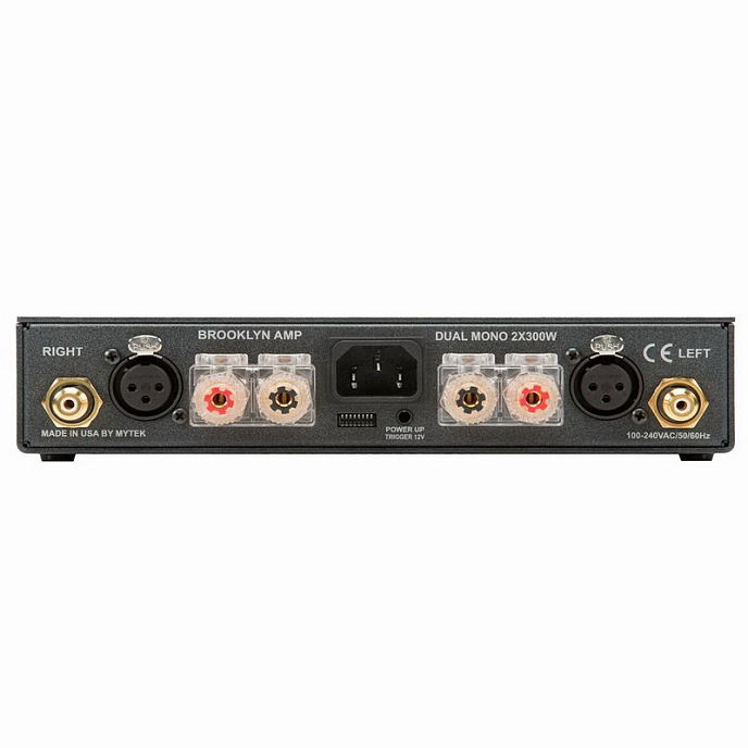 Усилитель мощности Mytek Digital Brooklyn AMP Black - рис.3